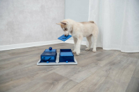 Trixie - Poker Box 1 Strategiespiel