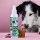 Tierliebhaber Dentalspray