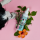Tierliebhaber Dentalspray