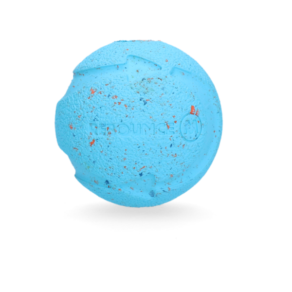 Chuck it! - Rebounce Fetch Ball