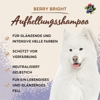 Pet Head Berry Bright Shampoo