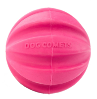 Dog Comets Halley Rosa