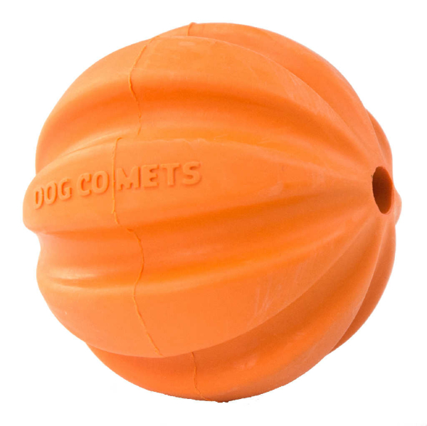 Dog Comets Swift-Tuttle Orange
