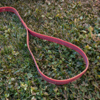 Gummierte Nylonleine 5m mit Handschlaufe