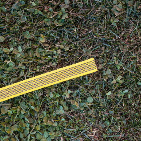 Gummierte Nylonleine 10m ohne Handschlaufe