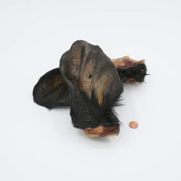 Rinderohren mit Fell 50 Stk