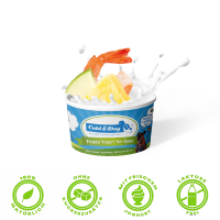 Frozen Joghurt mit Shrimps und Ananas